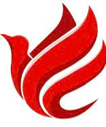 Thiết bị bếp nhập khẩu